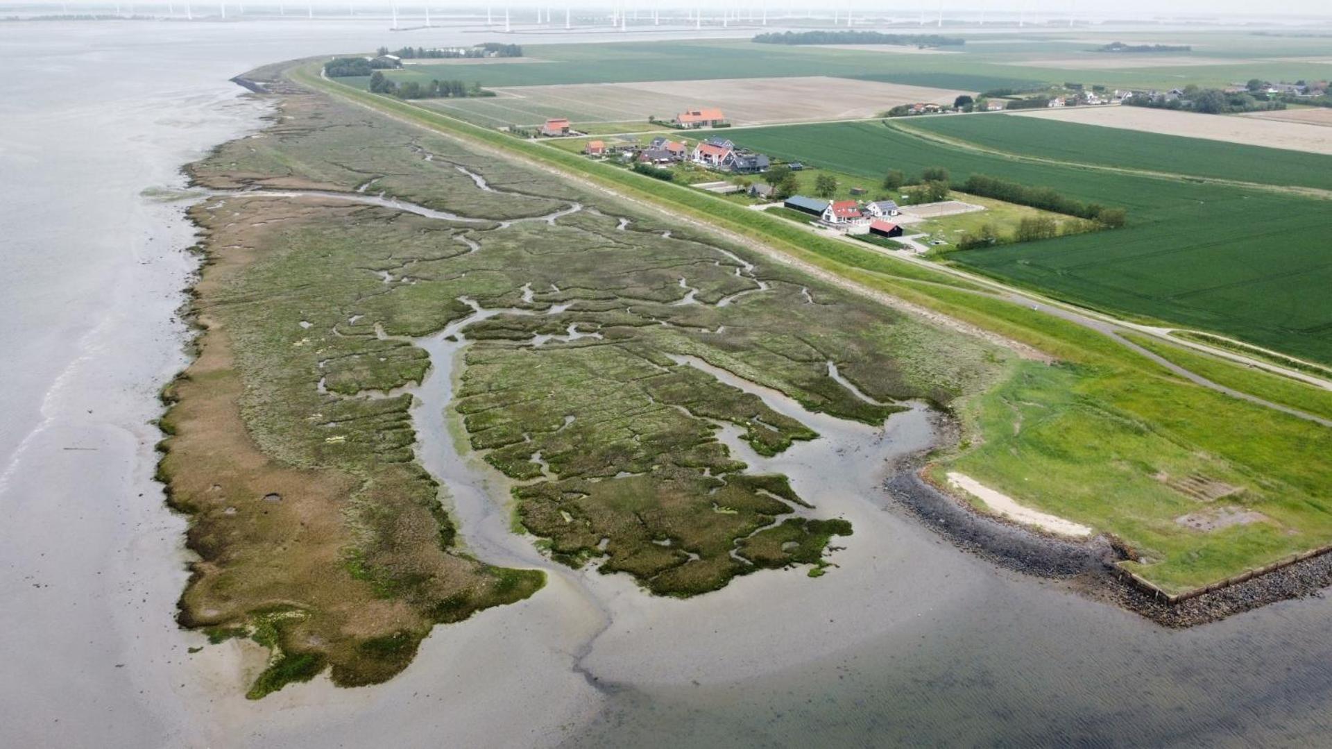 Appartamento Philipstere Sint Philipsland Esterno foto