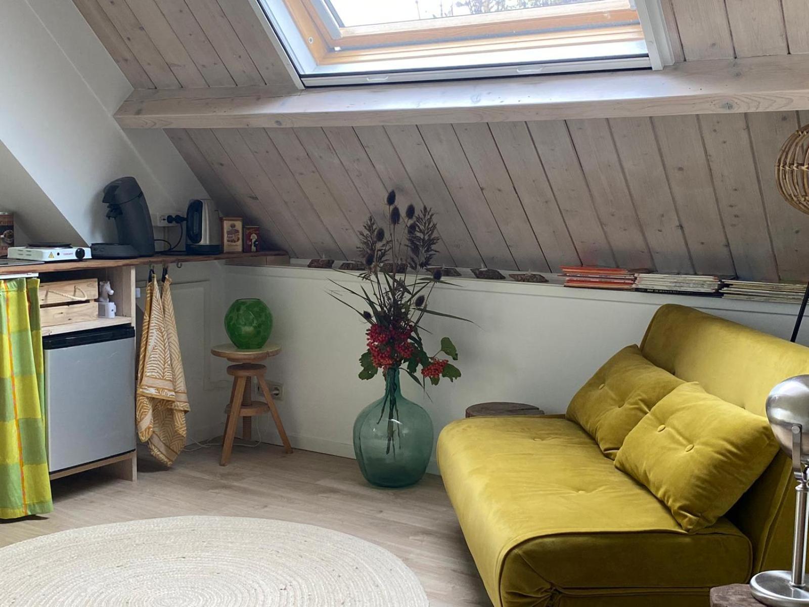 Appartamento Philipstere Sint Philipsland Esterno foto